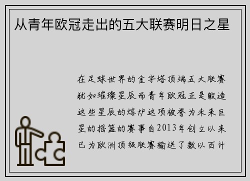 从青年欧冠走出的五大联赛明日之星